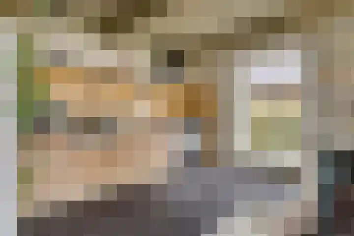 Haven 2 Ezinge thumbnail 23