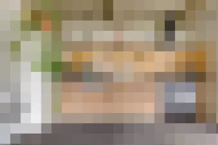 Haven 2 Ezinge thumbnail 24