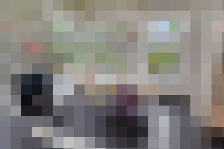 Haven 2 Ezinge thumbnail 26