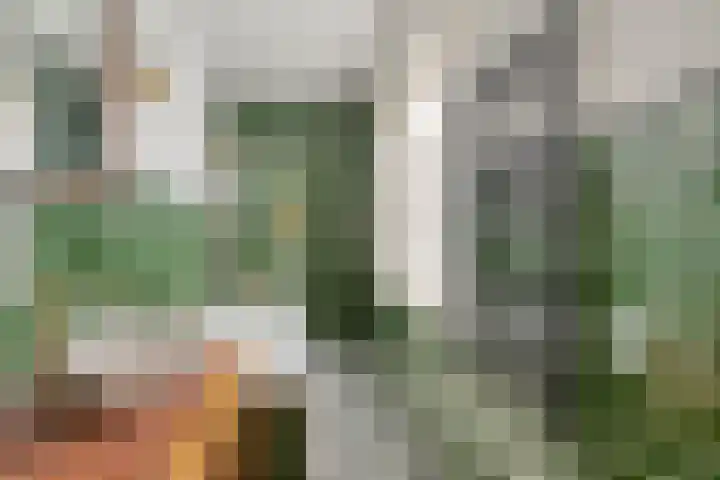 Haven 2 Ezinge thumbnail 31