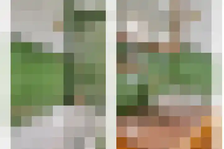 Haven 2 Ezinge thumbnail 32