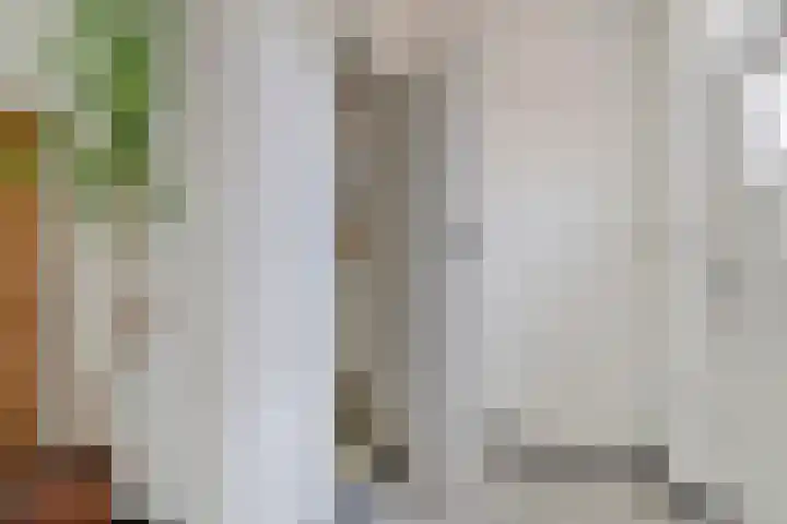 Haven 2 Ezinge thumbnail 33