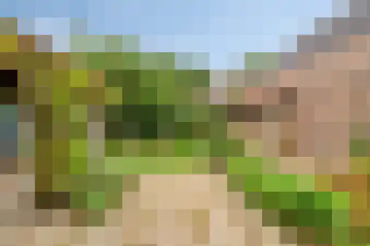Haven 2 Ezinge thumbnail 41
