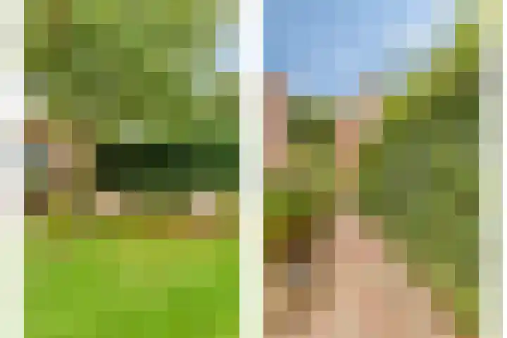 Haven 2 Ezinge thumbnail 42