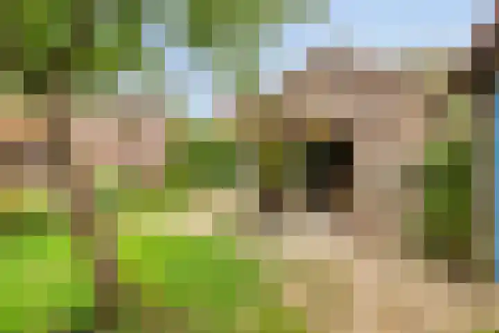 Haven 2 Ezinge thumbnail 43