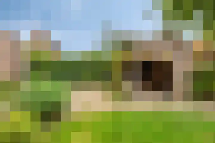 Haven 2 Ezinge thumbnail 44