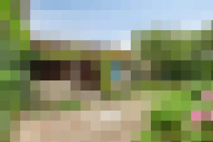 Haven 2 Ezinge thumbnail 45