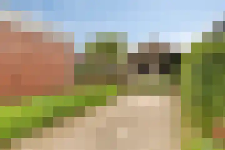 Haven 2 Ezinge thumbnail 47