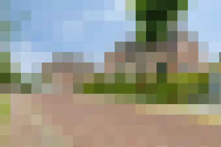 Haven 2 Ezinge thumbnail 49