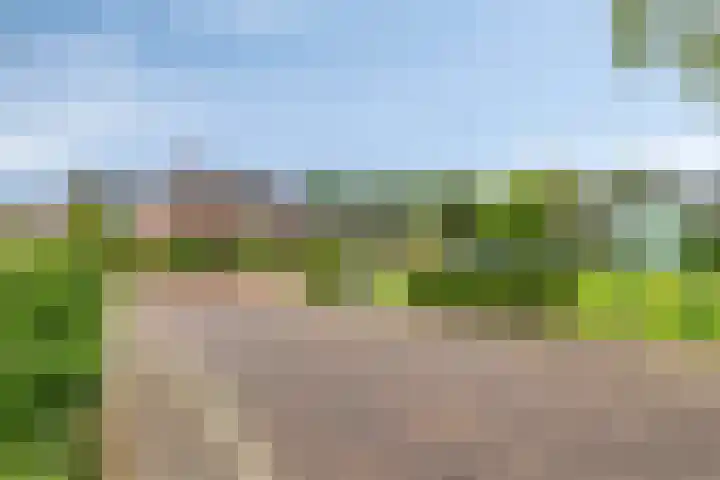 Haven 2 Ezinge thumbnail 50