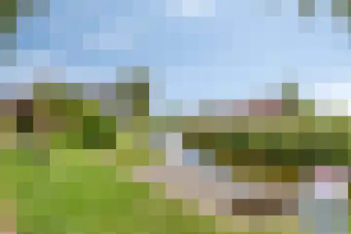 Haven 2 Ezinge thumbnail 53