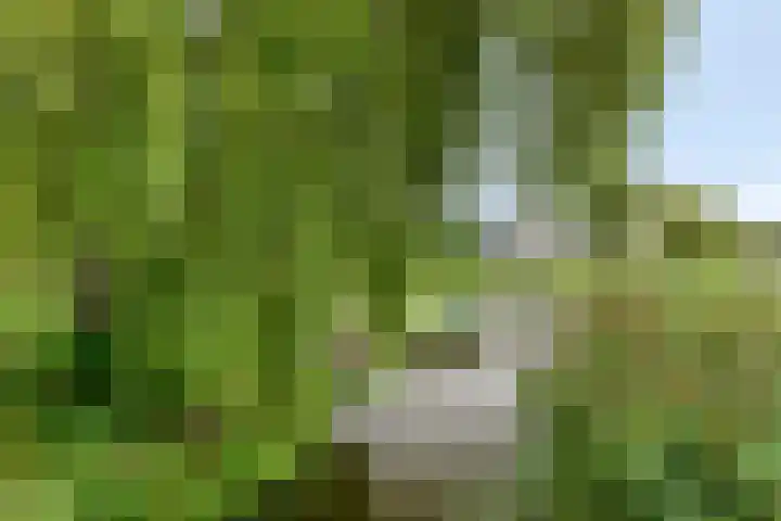 Haven 2 Ezinge thumbnail 7