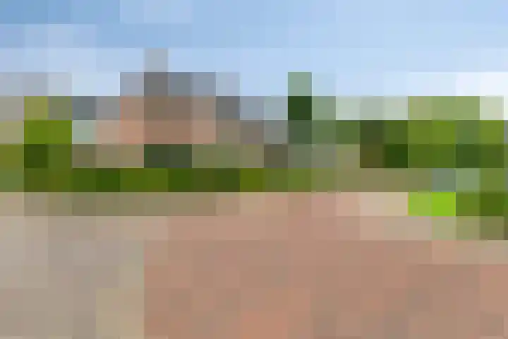 Haven 2 Ezinge thumbnail 9