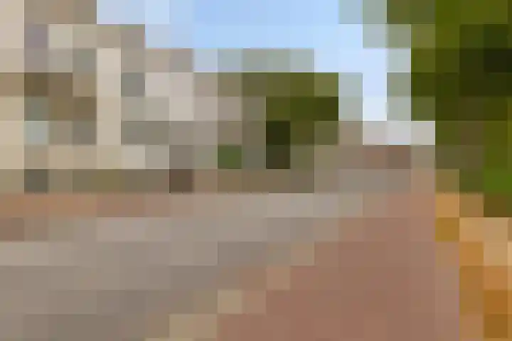 Haven 20 Sprang-Capelle thumbnail 17