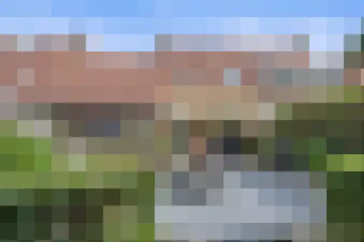 Haven 20 Sprang-Capelle foto 2