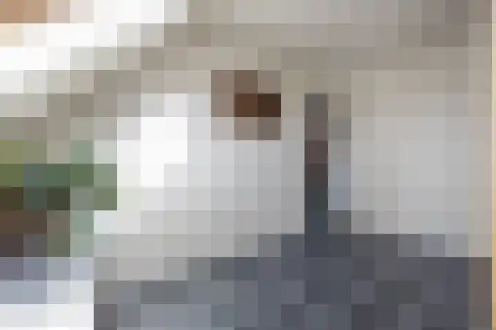 Haven 20 Sprang-Capelle thumbnail 22