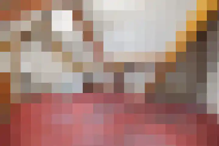 Haven 20 Sprang-Capelle thumbnail 26