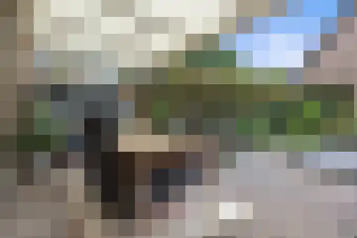 Haven 20 Sprang-Capelle thumbnail 30