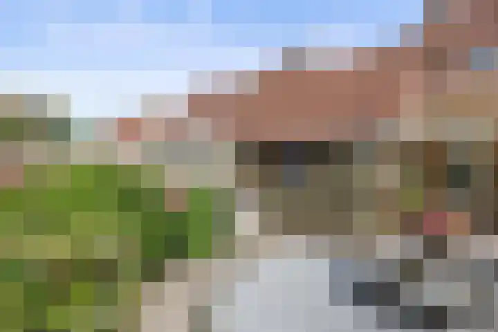 Haven 20 Sprang-Capelle thumbnail 32