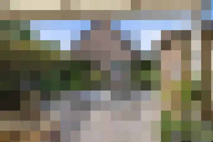 Haven 20 Sprang-Capelle thumbnail 34