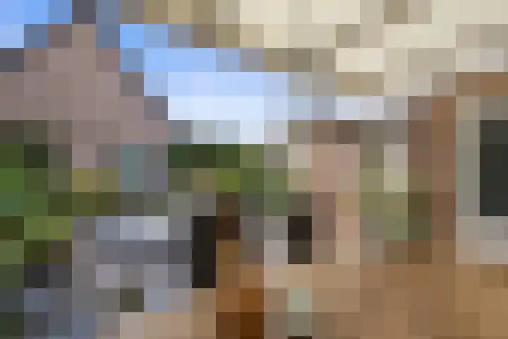 Haven 20 Sprang-Capelle thumbnail 35