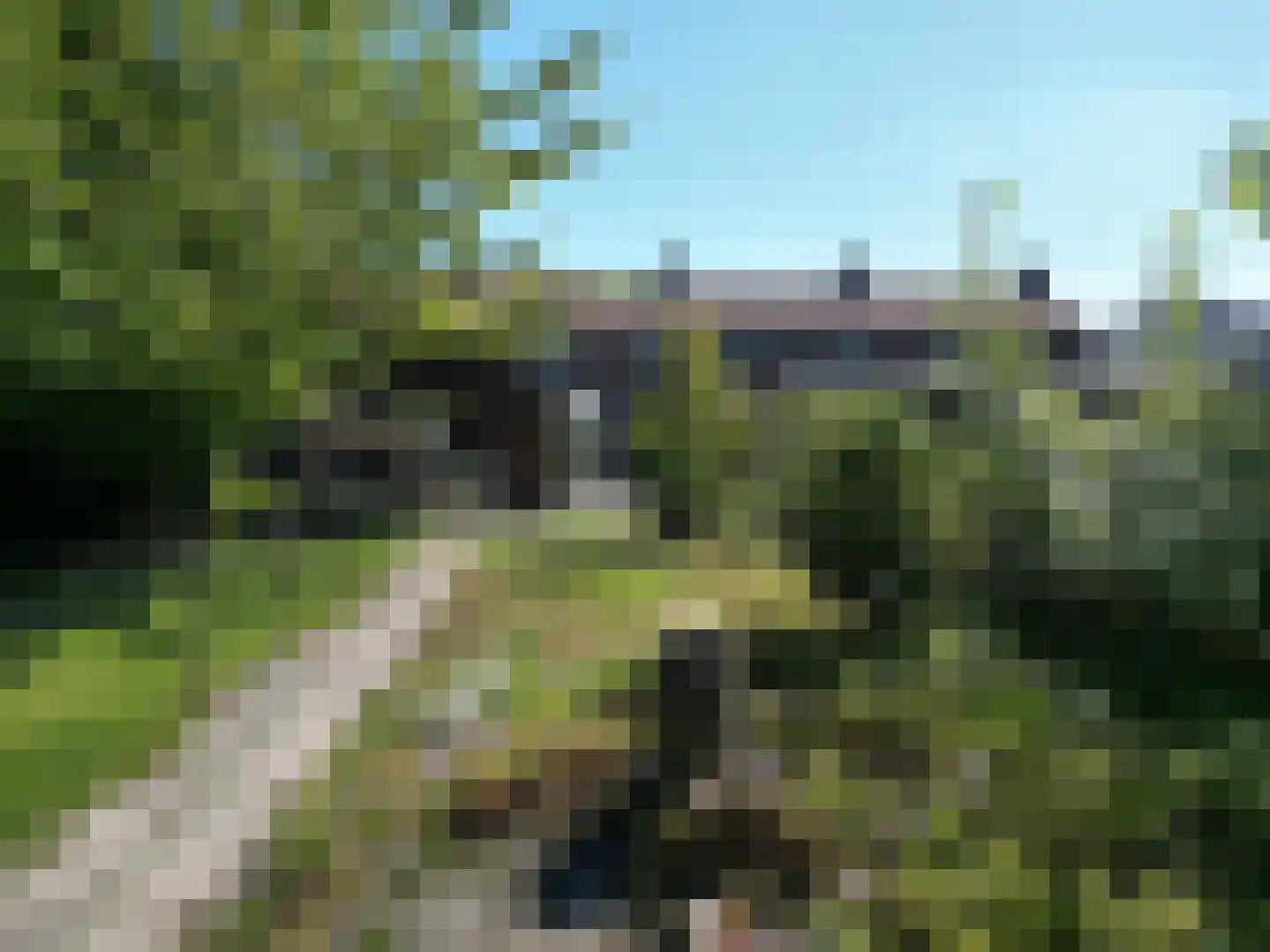 Haven 21 Aardenburg thumbnail 28