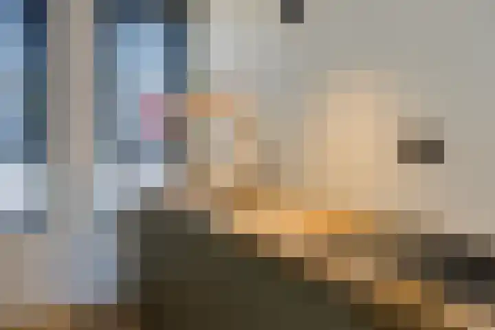 Haven 22 Leimuiden thumbnail 12