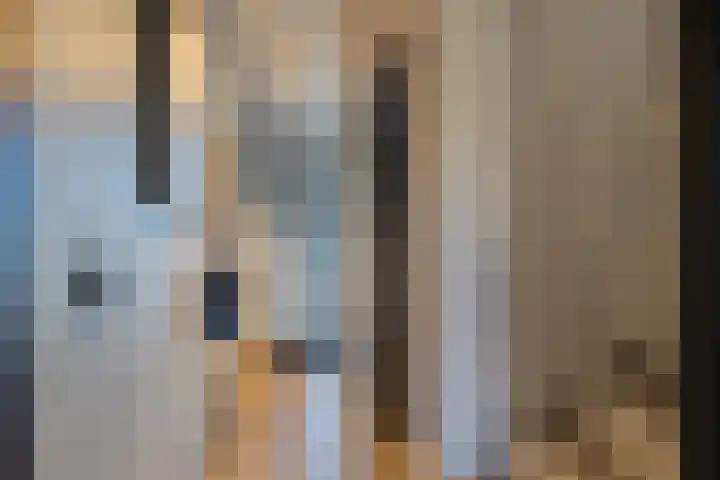 Haven 22 Leimuiden thumbnail 26