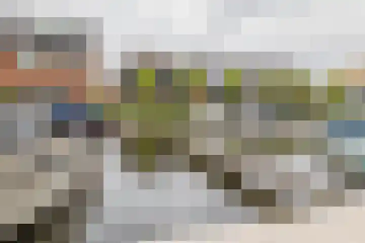 Haven 22 Leimuiden thumbnail 48