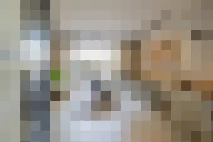 Haven 22 Leimuiden thumbnail 7