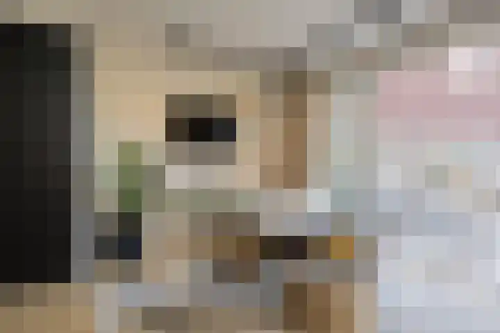 Haven 22 Leimuiden thumbnail 8