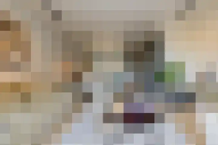 Haven 22 Leimuiden thumbnail 9