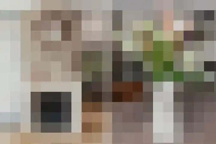 Haven 29 Alblasserdam thumbnail 12