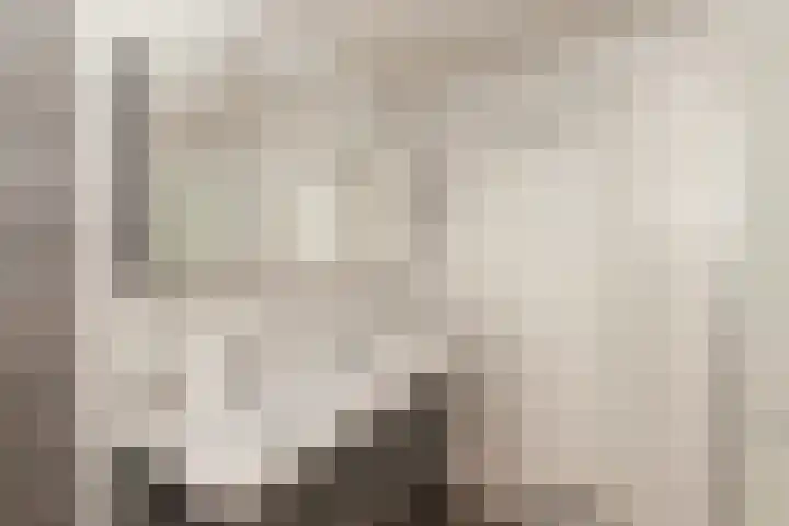 Haven 29 Alblasserdam thumbnail 31