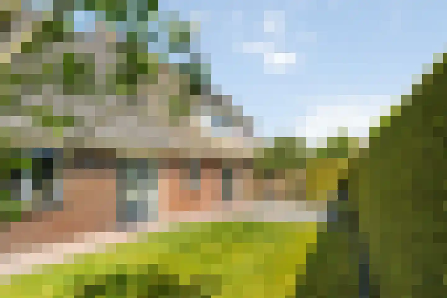 Haven 3 Lemelerveld thumbnail 6