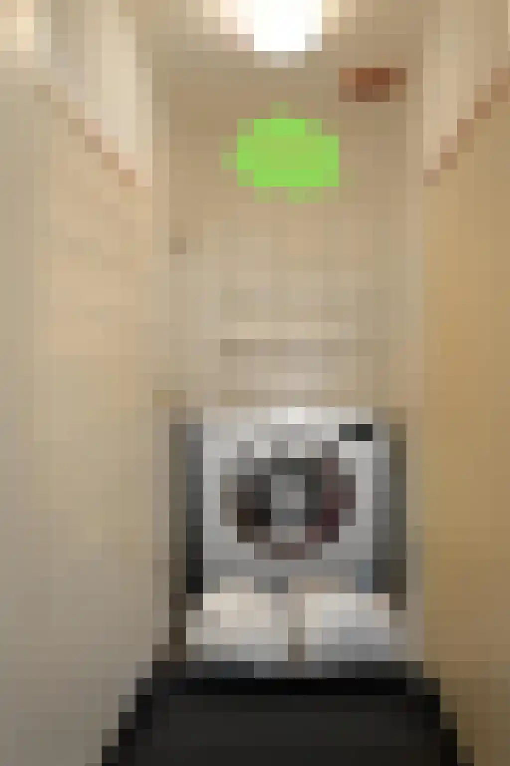Haven 3 Sluis thumbnail 22