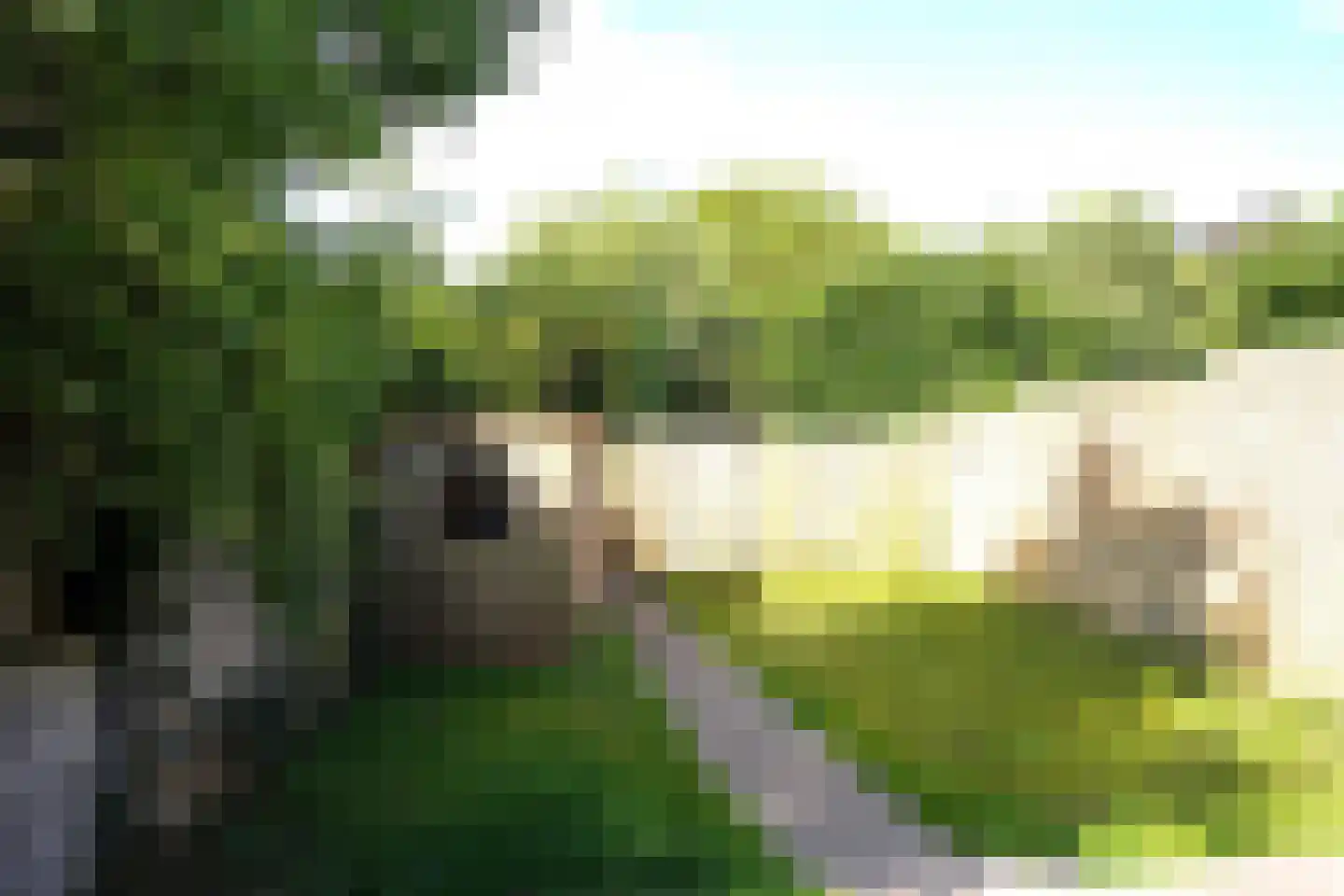 Haven 3 Sluis thumbnail 33