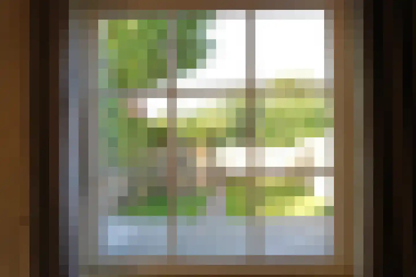 Haven 3 Sluis thumbnail 5