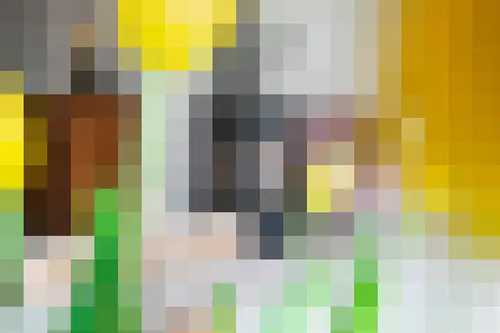 Haven 38 Goutum thumbnail 13