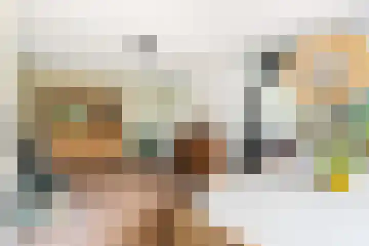 Haven 38 Goutum thumbnail 15