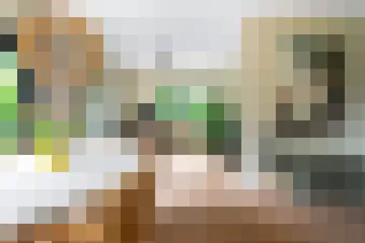 Haven 38 Goutum thumbnail 20