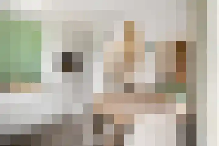 Haven 38 Goutum thumbnail 21