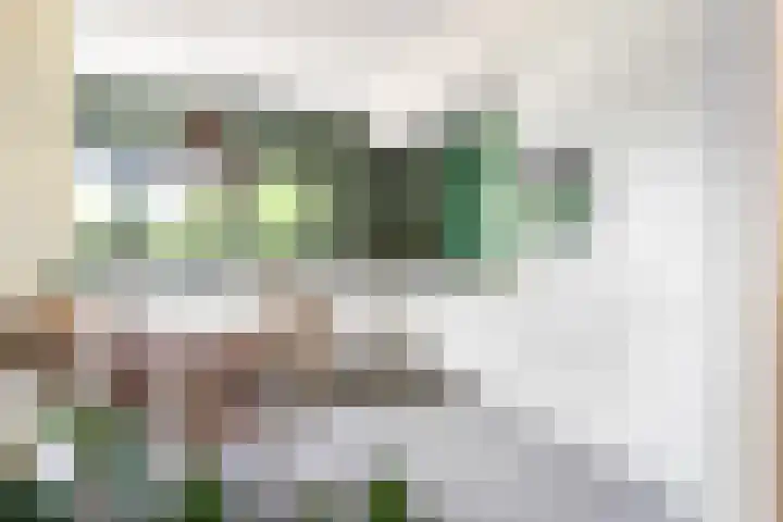Haven 38 Goutum thumbnail 22