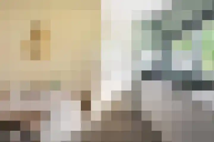 Haven 38 Goutum thumbnail 23