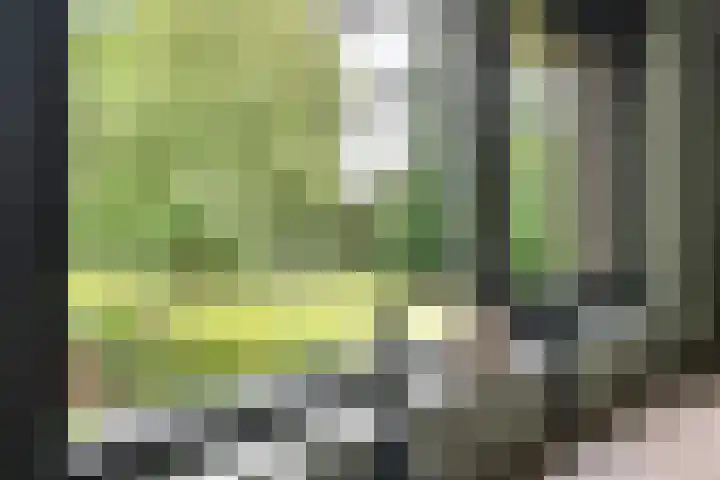 Haven 38 Goutum thumbnail 25