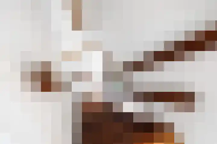 Haven 38 Goutum thumbnail 28