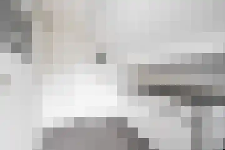 Haven 38 Goutum thumbnail 30