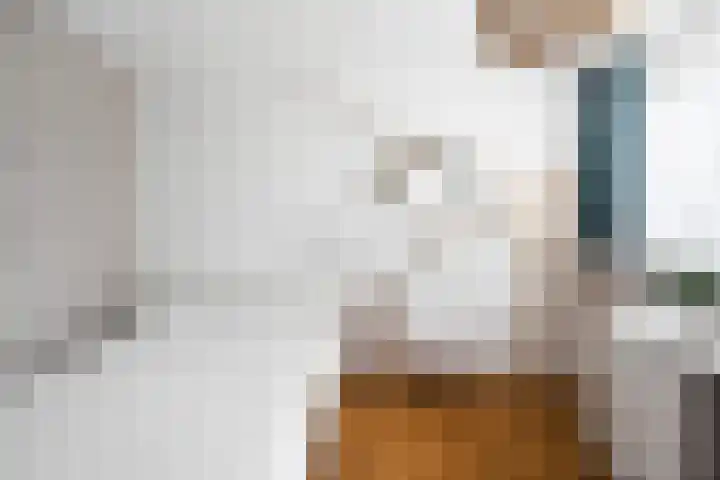 Haven 38 Goutum thumbnail 32
