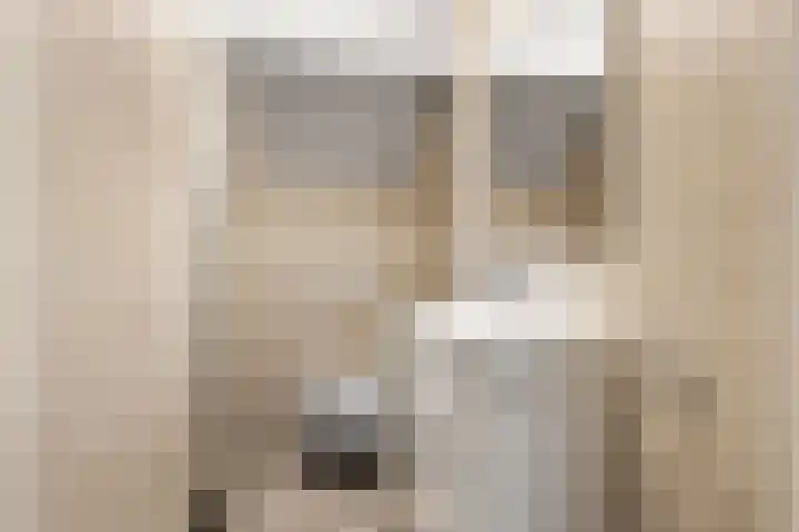 Haven 38 Goutum thumbnail 38