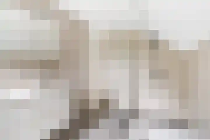 Haven 38 Goutum thumbnail 46